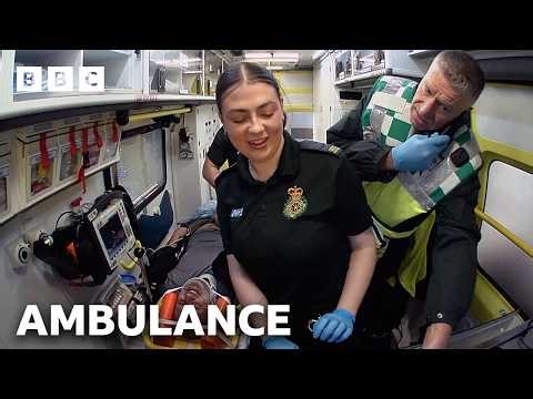 Farmer and his dog involved in car accident - BBC