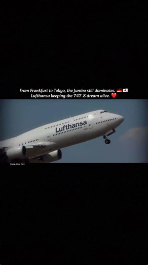 Lufthansa 🛩️#lufthansa #airbus #boeing #carrier #aircraft #trendingshorts