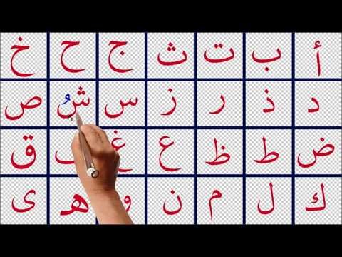 اللغة العربية من الصفر | الحروف الهجائية العربية للأجانب وغير الناطقين بالعربية | بث مباشر 🎓✨