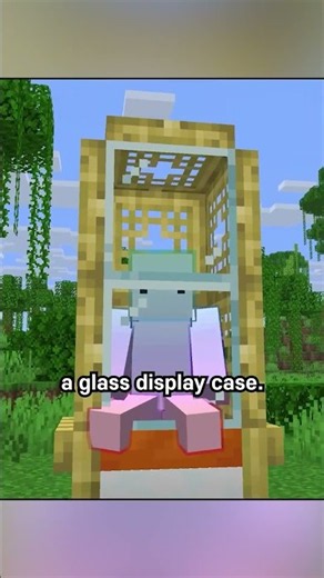 cushion display case toy prism by spenceandsons