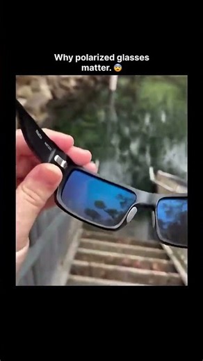 Why polarized Glass matter