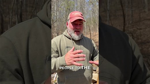 Why more snake bites hit the arm now