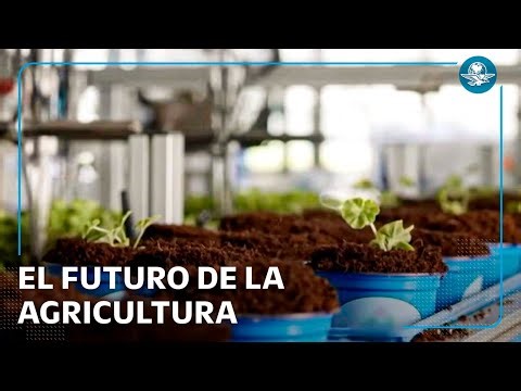 Estos robots inteligentes están transformando el campo