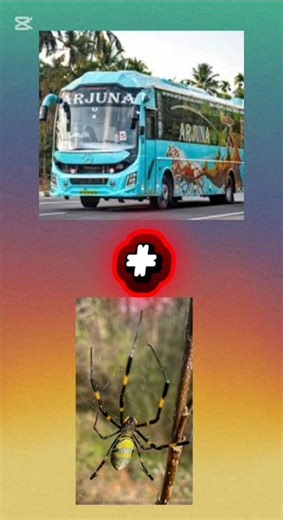 Spider 🕷️ + Bus 🚌 = Shocking Combo Creature 😱🔥