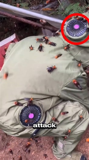 Why You Should NEVER Jump Into Water When Bees Attack You?