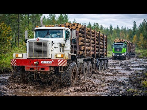STUCK IN MUD! Powerful Trucks Fighting Extreme Off-Road Conditions. Extreme Off-Road