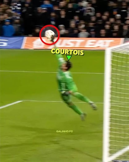 100% Satisfying Goalkeeper Saves 💀 #4