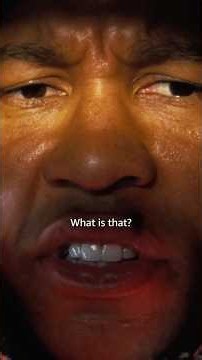 We know what Maximus wants next Christmas 🎄🔥 #Fallout