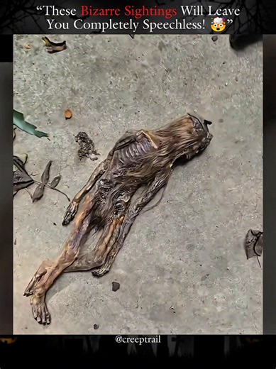 Strange creature caught on camera #unexplained #strangecreature #creepy #scary #viral