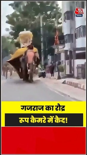 भीड़ देखकर भड़का हाथी, मौके पर मचाया जबरदस्त उत्पात | #Elephant #ViralVideo #Shorts