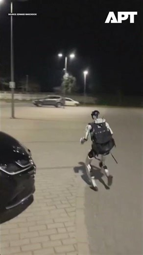 WATCH: Humanoid Robot Scares Away Wild Boar Herd in Warsaw | APT