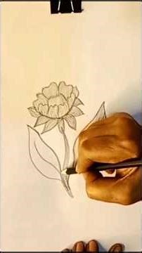 How to Draw a Realistic Flower: Easy Pencil Sketch Tutorial
