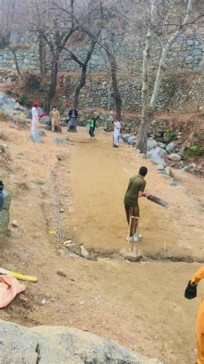 All Wickets in Cricket World Cup 2023 Highlights