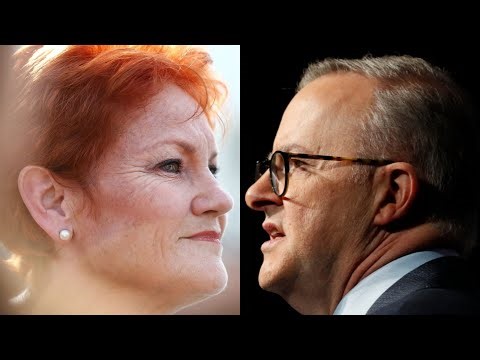 ‘Watch this space’: One Nation’s popularity spike is leaving Albanese government ‘worried’