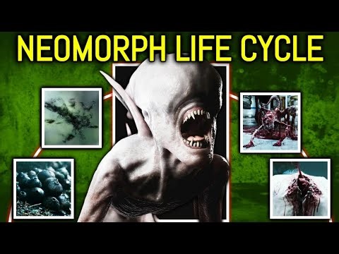 Neomorph Life Cycle Explained - How the Alien Franchise’s Most Disturbing Creature Is Born