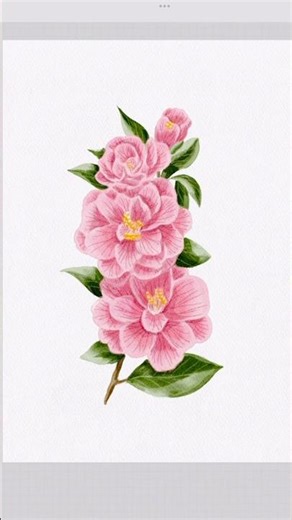 Watercolor Camellia. A detailed step-by-step tutorial is available for my Drawing Club. #procreate