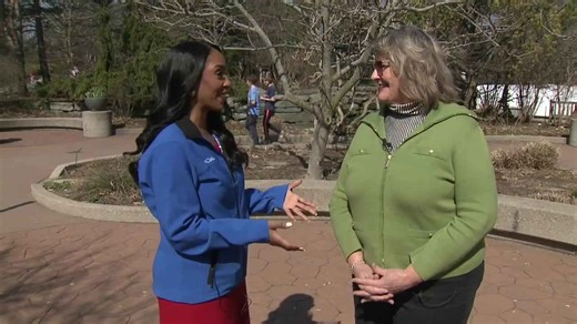 Need last-minute spring break ideas? Check out these April activities from the WMTA