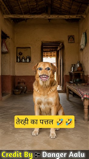 तेरही का पत्तल 🤣🤣/#comedy #cartoon @AaluPyajJoke @thethar_puns #dog #funny