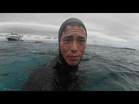 Diver Gets "Slapped" by Sea Turtle || ViralHog
