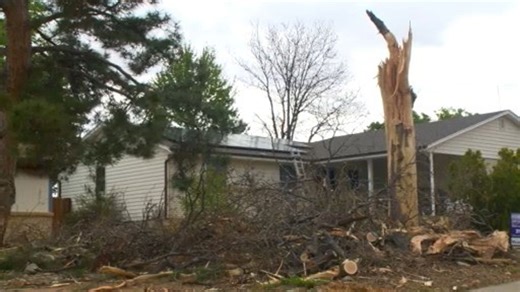 Tree explodes after being hit by lightning in Aurora | Haystack News