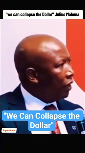 Julius Malema: "We Can Collapse the Dollar" 🌍🔥