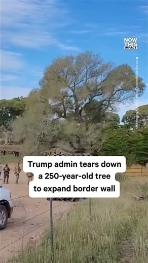 They Tore Down A Legacy