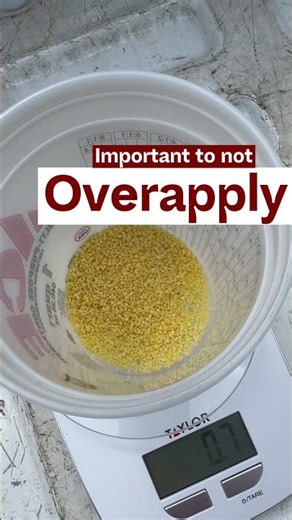 Fire Ant Treatment in Griffin, GA — Watch How Blasingame Pest Management Gets Rid of Fire Ants