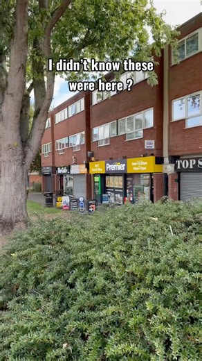 I didn’t know these were here ? #birmingham #kingsbury