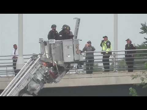 Protester who scaled DC bridge climbs down after five days