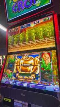 Cash Crop $3 bet #luckyeaglecasino #slot #kickapoo #luckyeagletx #casinolife