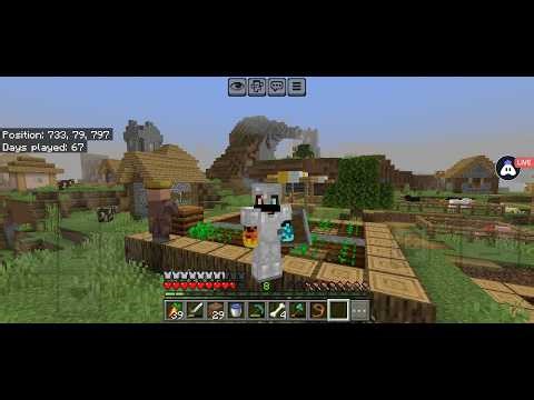DAY 70 COMPLETING RAID FARM 🌎#minecraft#bythewaygaming#relex