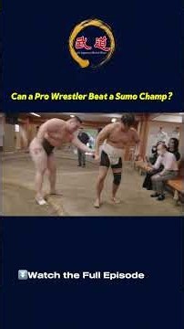 DIVE INTO THE WORLD OF SUMO