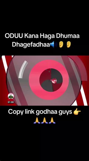 #creatorsearchinsights @Oromia Broadcasting Network @BBC News Afaan Oromoo @BBC News Amharic #breakingnewstiktok #alixmiamiswimmingsuits #viraltravelvideocreationtips #creatorsearchinsights