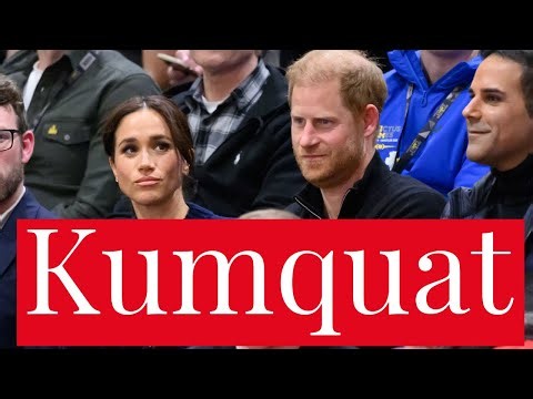 Kumquat: Prince Harry, Meghan Markle's Astonishingly Dumb Attempt to Blackmail Charles Over Security