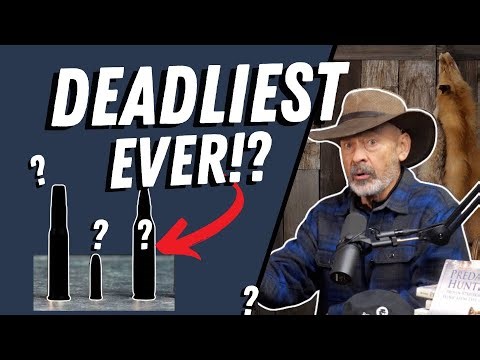 These Cartridges Have Killed MORE Deer Than Anything Else!