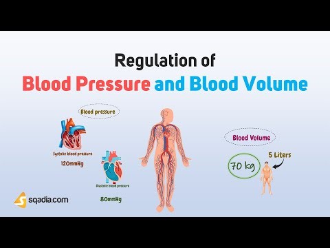 Regulation of Blood Pressure and Blood Volume | Introduction