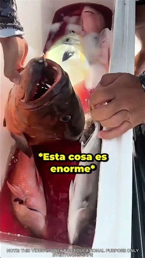 Mira lo que la policía encontró en este barco de pesca #shorts