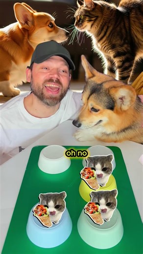 Cat vs Dog 🐱🐶 The Winner Chooses 😳#catvsdog #challenge