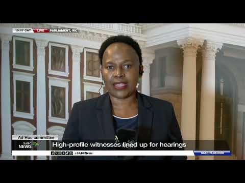 Ad Hoc Committee | High-profile witnesses lined up for hearings - Lulama Matya reports