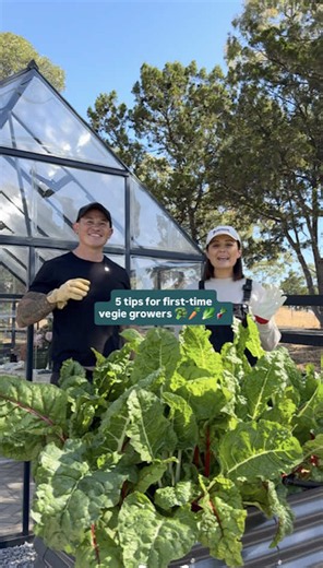 Vegetable Patch Tips: 5 Expert Ways to Grow Your Own Greens