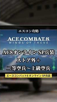F-14D・MiG-31Bは何を積める？SP兵装まとめ①【エースコンバット8】