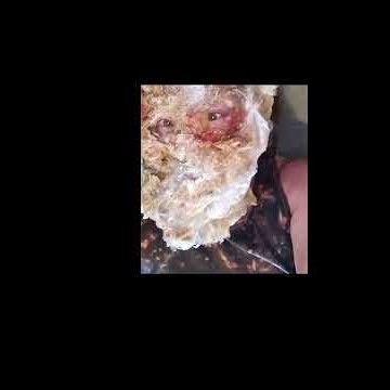 The Art of Confrontation: Unassimilated Material and the Obsidian Throughput