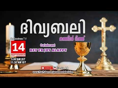 HOLY MASS MALAYALAM 14 SEPT 2026 | LATIN MASS | REV FR JOY ALAPPY |TODAY LIVE MASS |GOODNESS TV