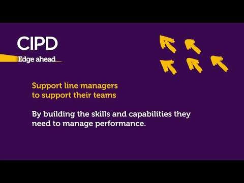 Five performance management strategies to drive productivity
