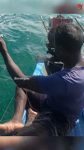 Hooked a Queen Fish Using Prawn as Bait! #fishing #fishingvideo #fishingtime