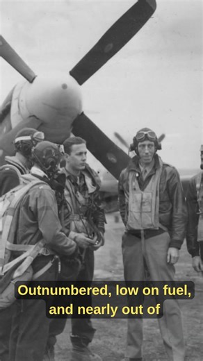 He Fought 20 German Fighters Alone | The P-51 Mustang Hero of WWII