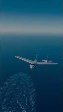 The Vanishing of Amelia Earhart