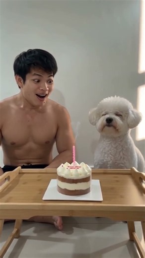 Happy Birthday Cutie Doggie! blow the Candle haha #birthday #birthdaycelebration #dogshorts #doglove