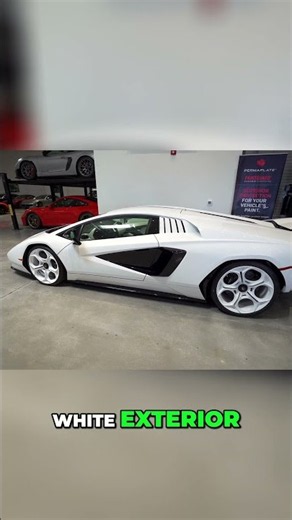Admiring The White Lamborghini Countach - Rare & Expensive!
