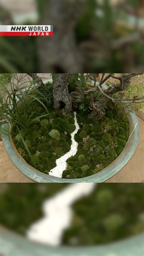 Preparing for New Year at Japan’s Imperial Palace | NHK WORLD-JAPAN